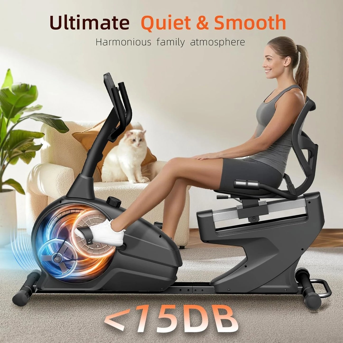 Recumbent Exercise Bike, Recumbent Stationary Bike for Home, Recumbent Bike 350LBS Weight Capacity, Magnetic, Customized