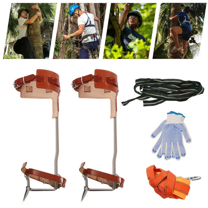 Climbing Pitons Tree Climbing Gear Kit with Safety Harness Rope Gloves Stainless Steel Double Claw Tree Climbing Tools
