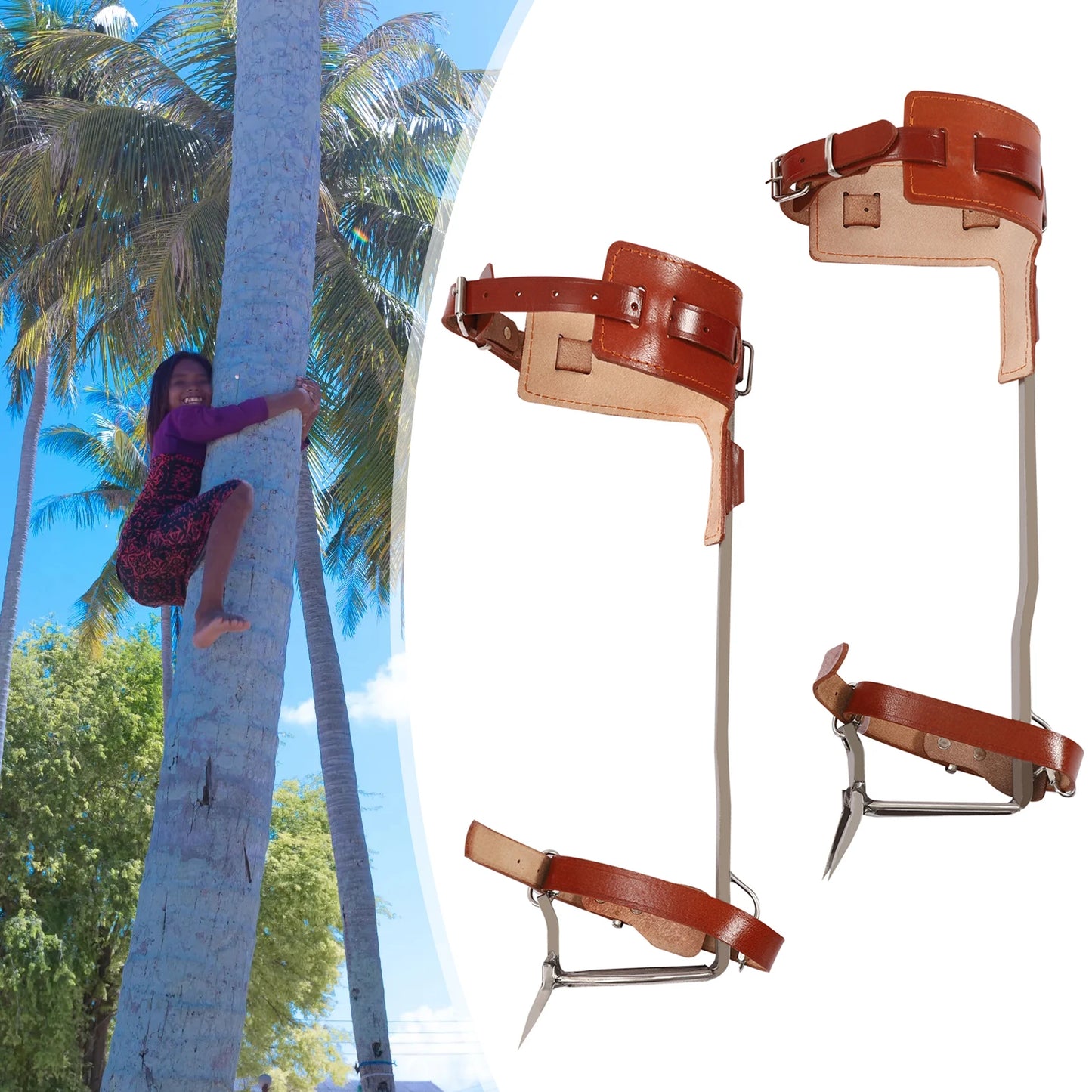 Climbing Pitons Tree Climbing Gear Kit with Safety Harness Rope Gloves Stainless Steel Double Claw Tree Climbing Tools