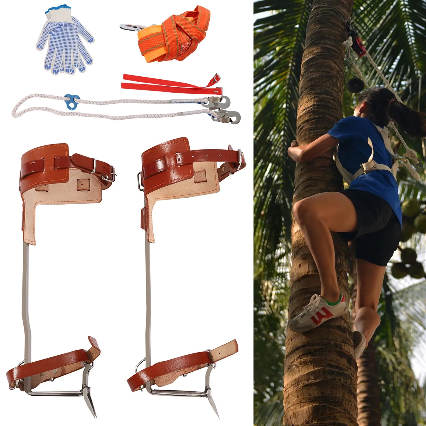 Climbing Pitons Tree Climbing Gear Kit with Safety Harness Rope Gloves Stainless Steel Double Claw Tree Climbing Tools