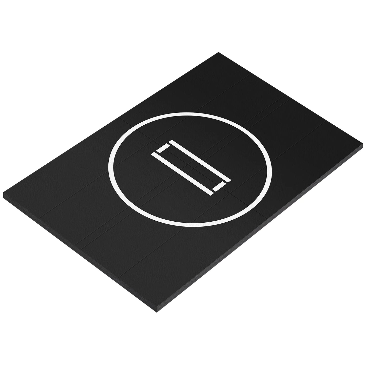 10x10FT Portable MMA/BJJ/Judo/Gymnastics Training Mat Taekwondo Floor Mat for Grappling Martial Art Boxing