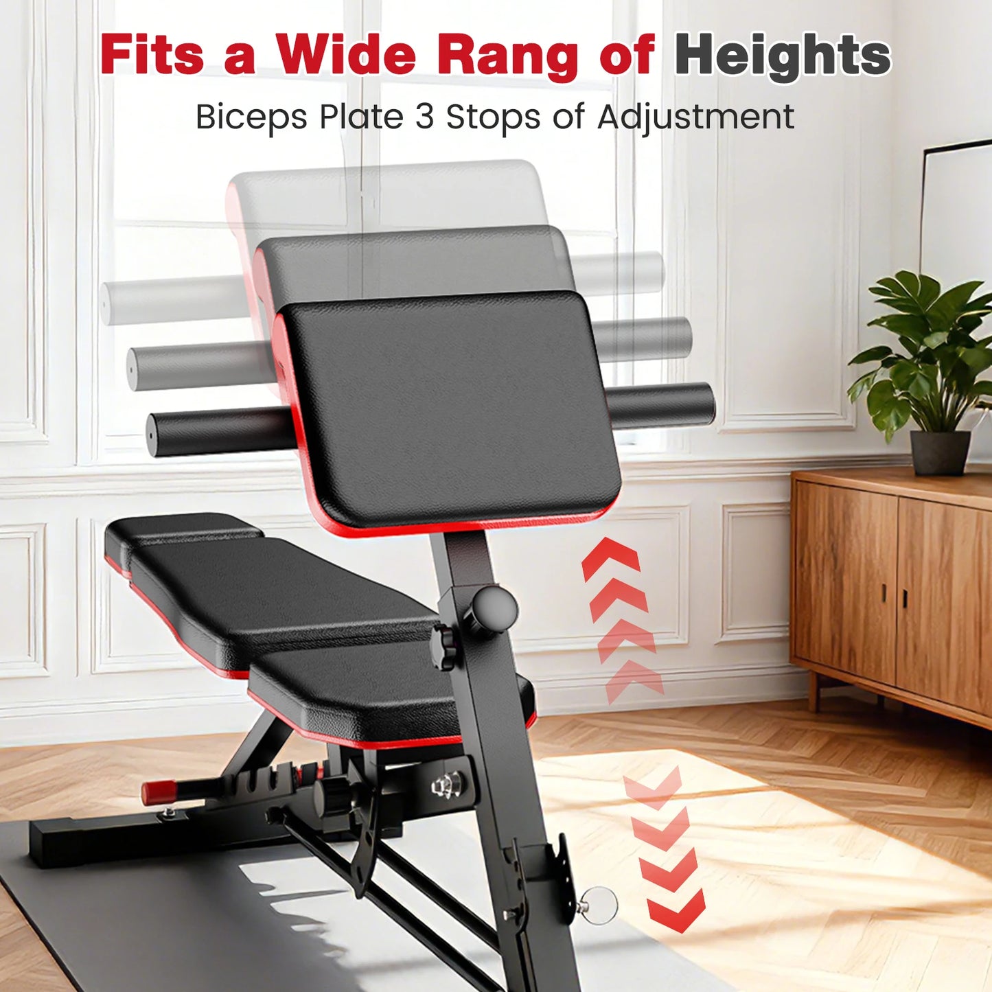 Dumbbell Bench Roman Chair Adjustable Foldable Training Weight Bench Weightlifting Exercise Abdominal Waist Fitness for Home Gym