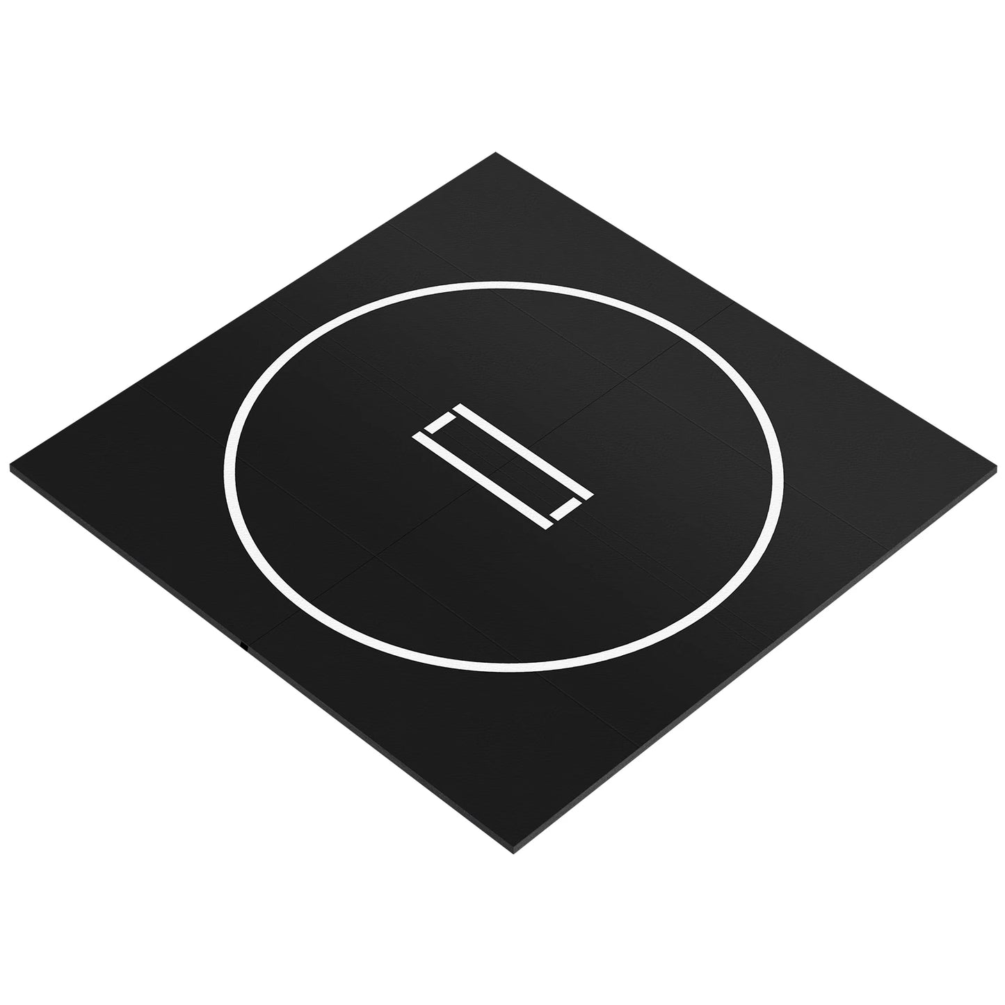 10x10FT Portable MMA/BJJ/Judo/Gymnastics Training Mat Taekwondo Floor Mat for Grappling Martial Art Boxing